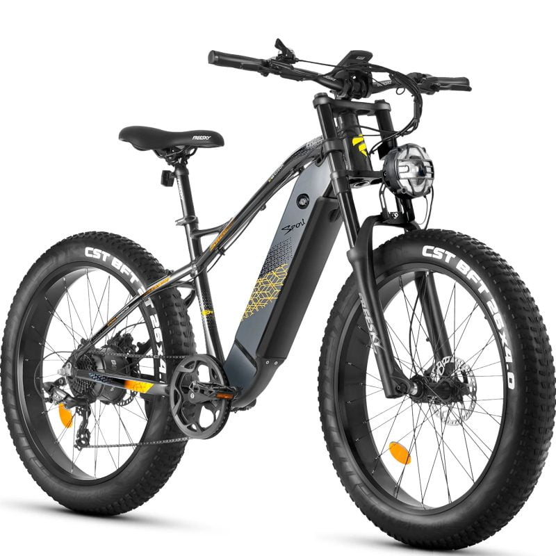 Freesky electric bike Himalaya