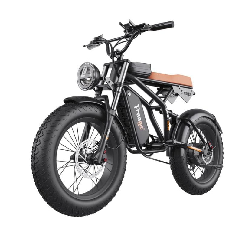 Freego F1 Fat Tire Off Road E-Bike