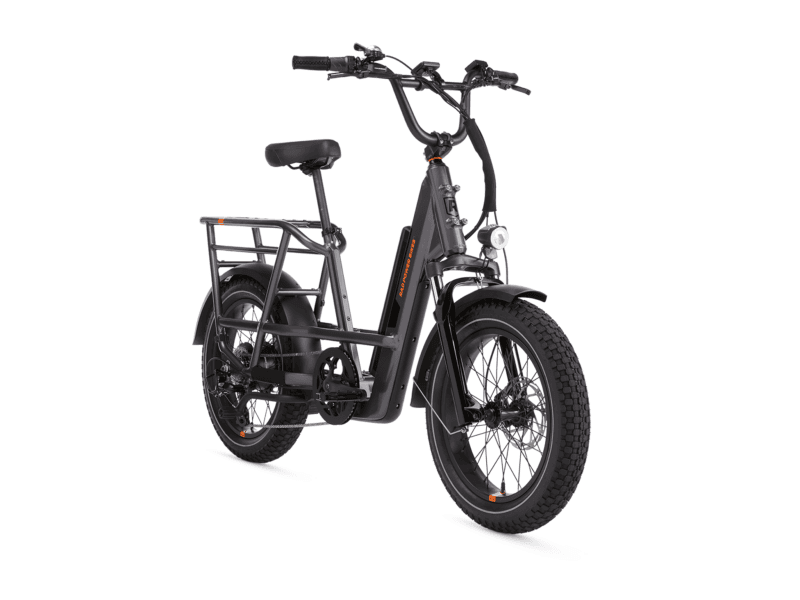 RadRunner™ 3 Plus Electric Utility Bike - Image 2