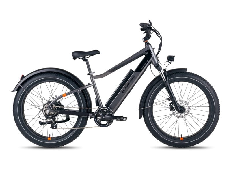 RadRover™ 6 Plus Electric Fat Tire Bike