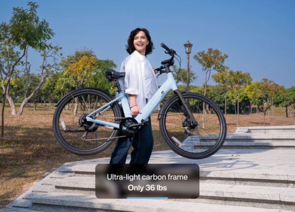 Carbon 1 Step-Thru E-Bike