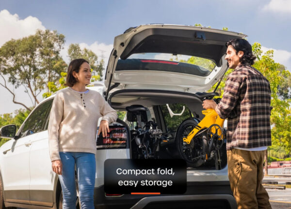 Carbon Fold 1 E-Bike