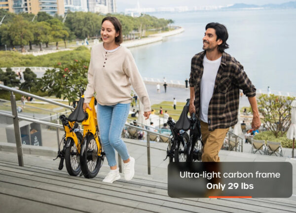 Carbon Fold 1 E-Bike