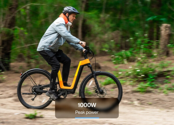 Carbon Fusion Pro E-Bike