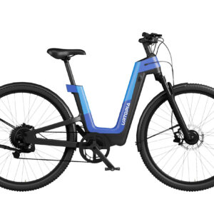 Carbon Fusion GT E-Bike