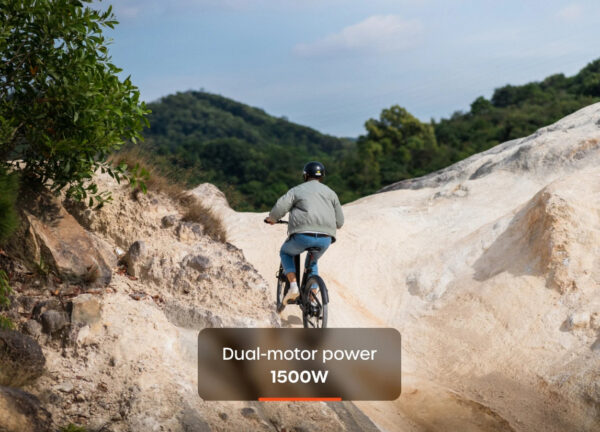 Carbon Fusion GT E-Bike