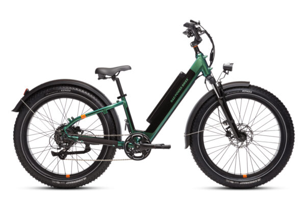 RadRover™ 6 Plus Electric Fat Tire Bike
