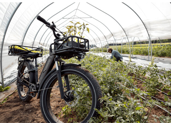 RadRover™ 6 Plus Electric Fat Tire Bike