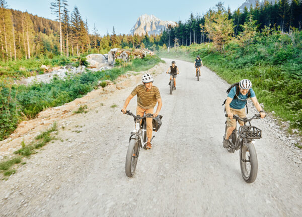 RadRover™ 6 Plus Electric Fat Tire Bike