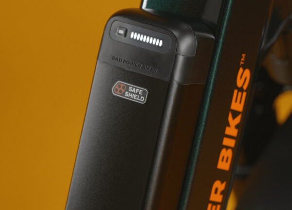 RadRunner™ Max Electric Cargo Utility Bike