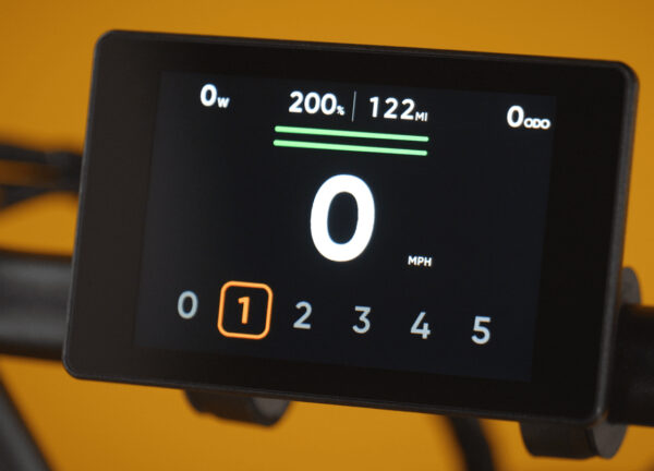 RadRunner™ Max Electric Cargo Utility Bike