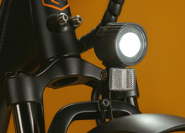 RadRunner™ Plus Electric Cargo Utility Bike