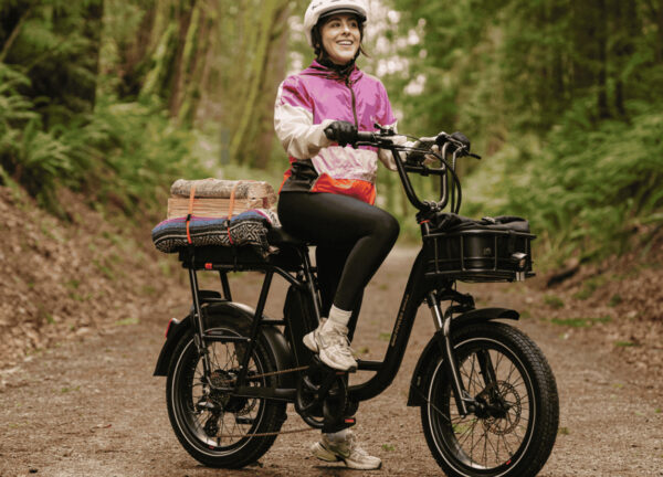 RadRunner™ Plus Electric Cargo Utility Bike