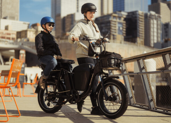RadRunner™ Plus Electric Cargo Utility Bike