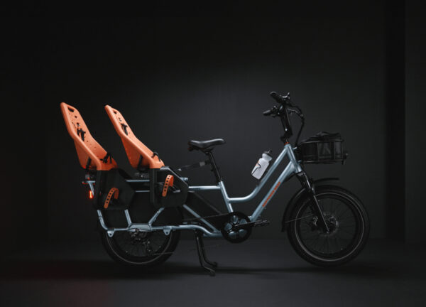 RadWagon™ 5 Electric Cargo Bike