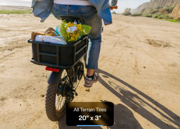 Urtopia Joy Carbon E-Bike