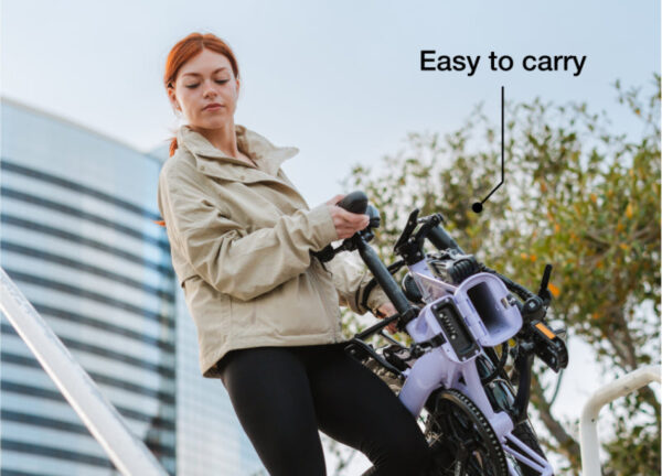 Lectric - XP Lite 2.0