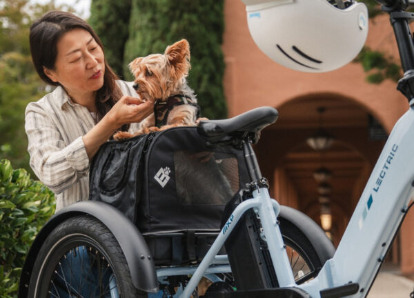 Lectric - XP Trike 2.0