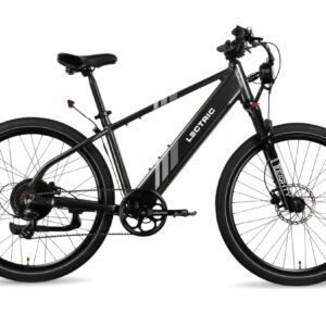 Lectric - XPress 750