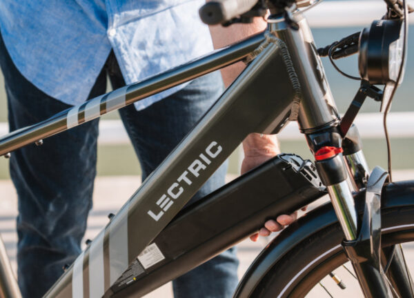 Lectric - XPress 750