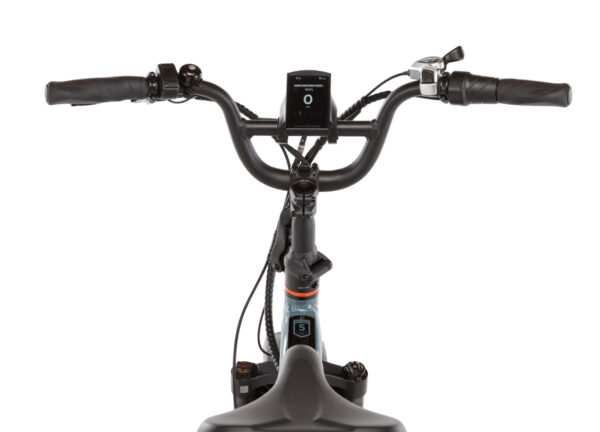 RadExpand™ 5 Plus Electric Folding Bike