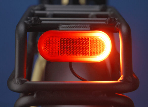 RadExpand™ 5 Plus Electric Folding Bike